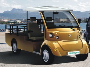 江蘇省朗格 朗格海豚系列電動觀光車 朗格電動車 優(yōu)質(zhì)商家 高清圖片 高清大圖